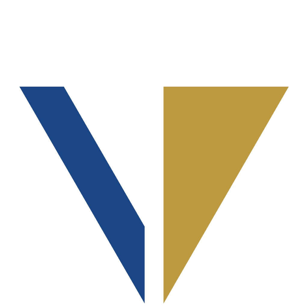 Logo Việt Thái Group